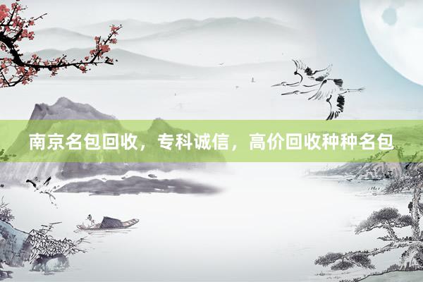 南京名包回收，专科诚信，高价回收种种名包